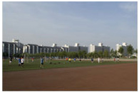 �����ИI(y��)����ͨ�\��